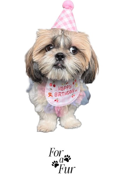 Luxury Köpek Doğum Günü Seti Happy Birthday Küçük Irklar Için 1 Adet