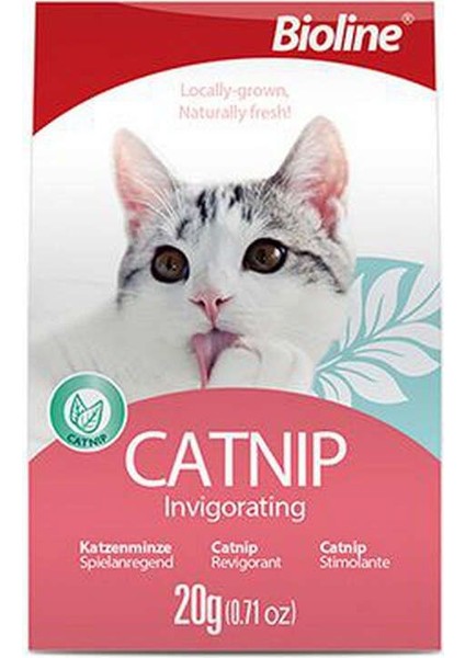 Luxury Catnip 20 gr 650141 1 Adet