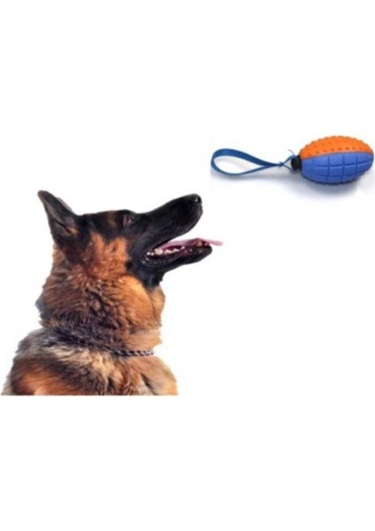 Luxury Köpek Diş Kaşıma Oyun Topu 1 Adet