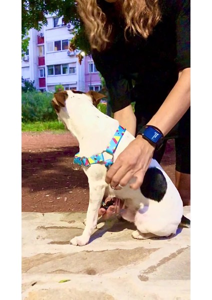 Luxury Köpek Tasma Seti ve Ayarlanabilir Gezdirme Kayışı Eller Serbest Leopar Desenli 1 Adet