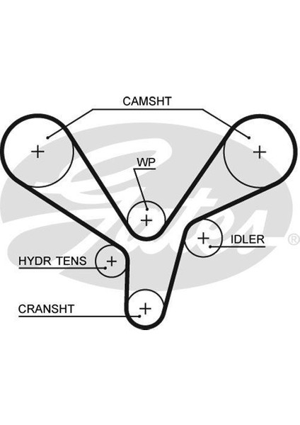 5636XS Trıger Eksantrık Kayısı Santafe / Carnıval Magentıs