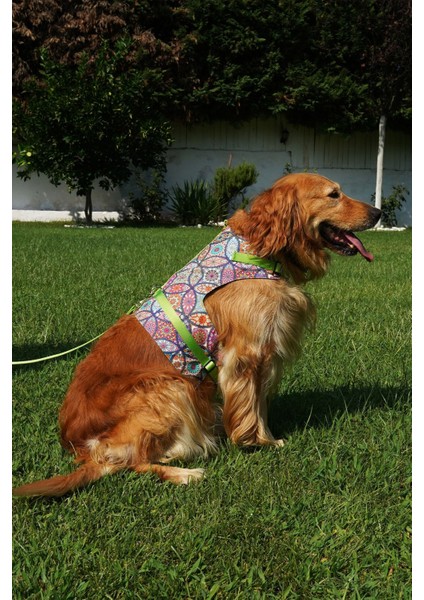 Luxury Kaçış Önleyici Köpek Göğüs Tasma Seti Küçük Irk ve Büyük Irk Köpek Gezdirme Tasması 1 Adet
