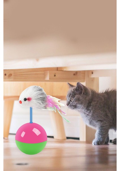 Luxury Kedi Fare Oyuncağı Hacı Yatmaz Hareketli Kedi Oyun Topu Kovalamaca Evcil Hayvan Malzemeleri Pet Shop 1 Adet