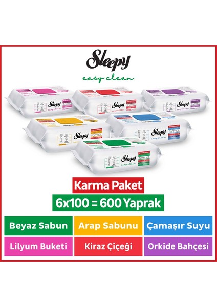 Easy Clean Yüzey Temizlik Havlusu & Mendili 6X100 Karma Paket