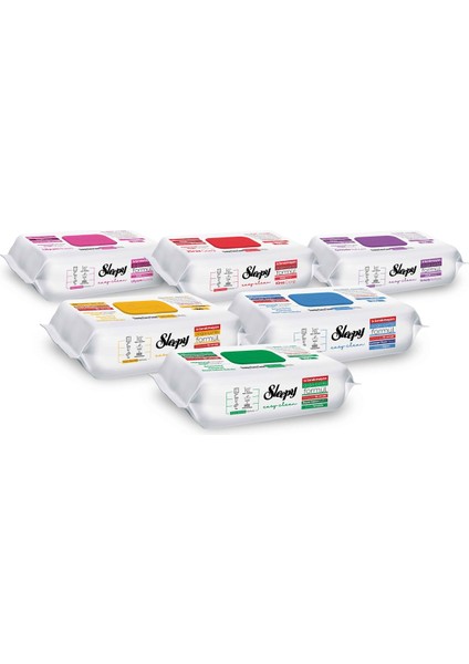 Easy Clean Yüzey Temizlik Havlusu & Mendili 6X100 Karma Paket
