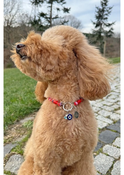 Luxury Kırmızı Ip Halat Kedi Köpek Kolyesi Charm Uçlu Gümüş Rengi 1 Adet