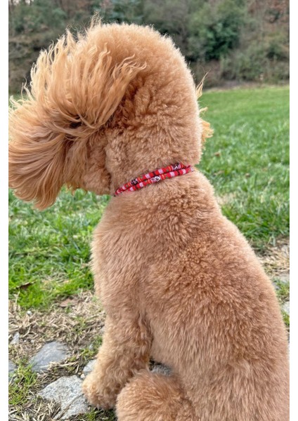 Luxury Kırmızı Ip Halat Kedi Köpek Kolyesi Charm Uçlu Gümüş Rengi 1 Adet