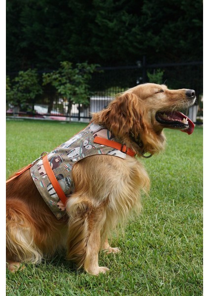 Luxury Kaçış Önleyici Köpek Göğüs Tasma Seti Küçük Irk ve Büyük Irk Köpek Gezdirme Tasması 1 Adet