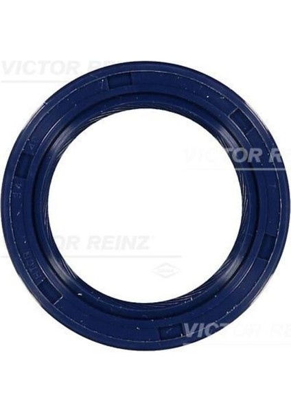 Reınz 81-53243-0 Krank Keçesi Ön Besta / E2200 34X48X7