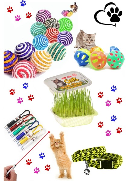 Luxury Pet Ip Sarma Topu ,lazer Kedi Oyuncağı ,çıngıraklı Top , Elastik Tasma ve Kedi Çimi Seti 1 Adet