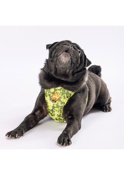 Luxury Greenossa Air-Mesh Göğüs Tasması Kedi Köpek Göğüs Tasması Xsmall 1 Adet