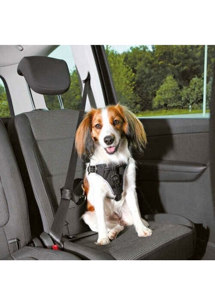 Luxury Köpek Bağlama Kemeri Köpek Emniyet Kemeri Pet Emniyet Kemeri Araç Içi Köpek Emniyet Bağlama Kemeri 1 Adet