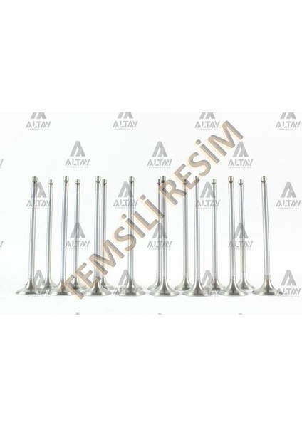 6514-6515 Güneş Subap Takımı Accent Blue 12-14 1.6 Crdı 16V