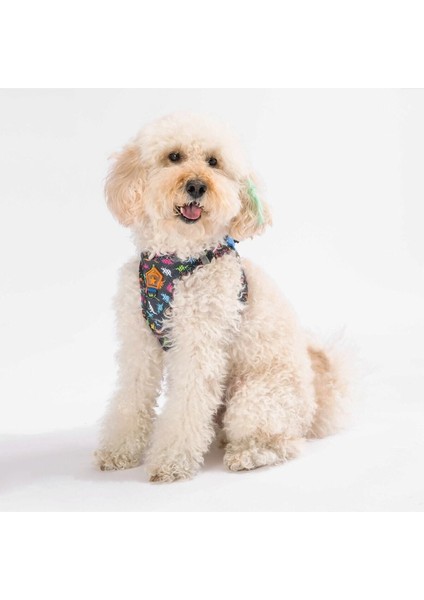 Luxury Dino Air-Mesh Göğüs Tasması Kedi Köpek Göğüs Tasması 1 Adet