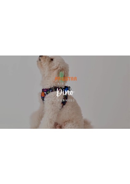 Luxury Dino Air-Mesh Göğüs Tasması Kedi Köpek Göğüs Tasması 1 Adet
