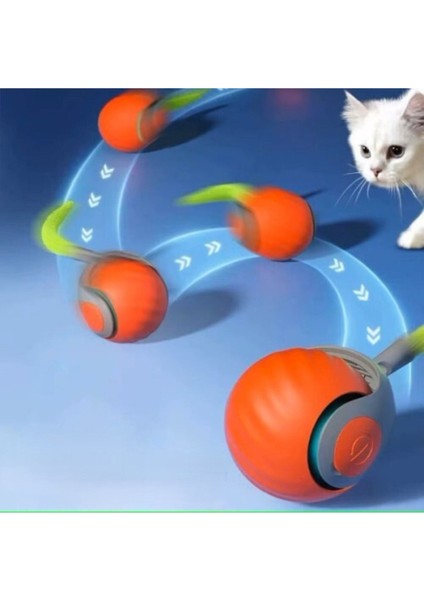 Luxury Otomatik Hareketli Kedi Oyuncağı 1 Adet
