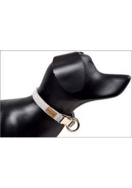 Luxury Dubex G-Dog Köpek Boyun Tasması Açık Gri Small 15 mm 19-30 cm 1 Adet