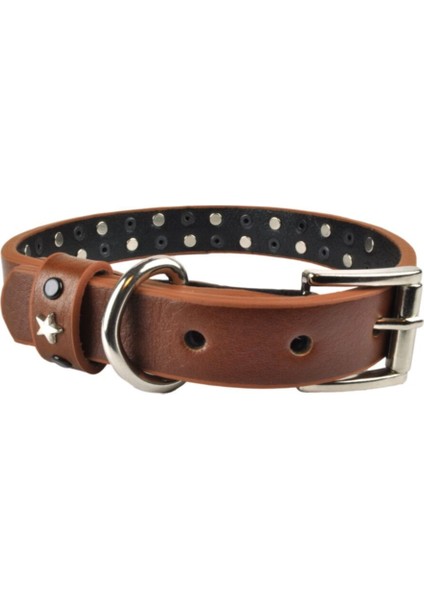 Luxury Leo Orta Boy Deri Köpek Tasması 45CM 1 Adet fiyatları
