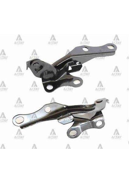 Taıwan 5341005060 Kaput Menteşesi Avensis 03-06 Sağ