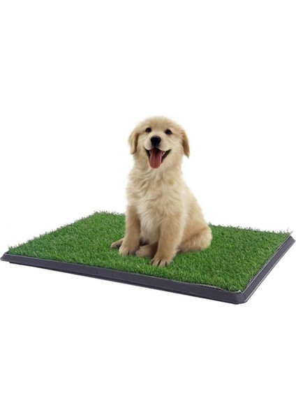 Luxury Yavru Köpek Tuvalet Eğitim Parkı 3 Katmanlı - 45CM x 32 cm 1 Adet