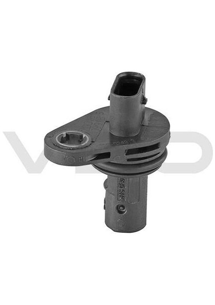 2910000216800 Camshaft Sensör