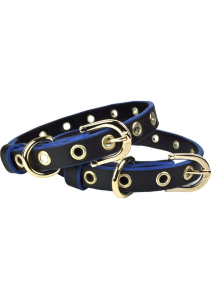 Luxury Capsule Küçük Boy Deri Köpek Tasması 35 cm 1 Adet