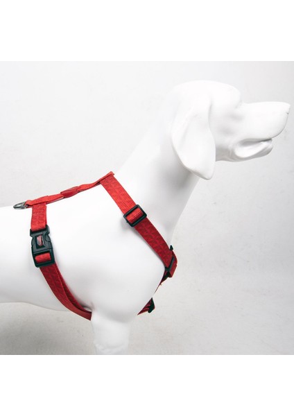 Luxury Prısm H-Tipi Göğüs Tasması Ayarlanabilir, Konforlu ve Dayanıklı Desenli Köpek Tasması 1 Adet