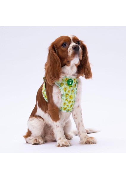 Luxury Avocado Air-Mesh Göğüs Tasması Kedi Köpek Göğüs Tasması 1 Adet