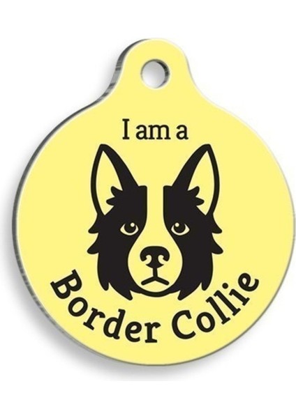 Luxury Sarı Border Collie Yuvarlak Köpek Künyesi 1 Adet
