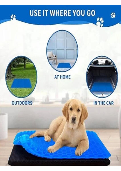 Luxury Rahatlık ve Destek: Jel Minder ile Sevimli Dostlarınıza Iyi Bakın. Kedi ve Köpekler Için Jel Minder 1 Adet