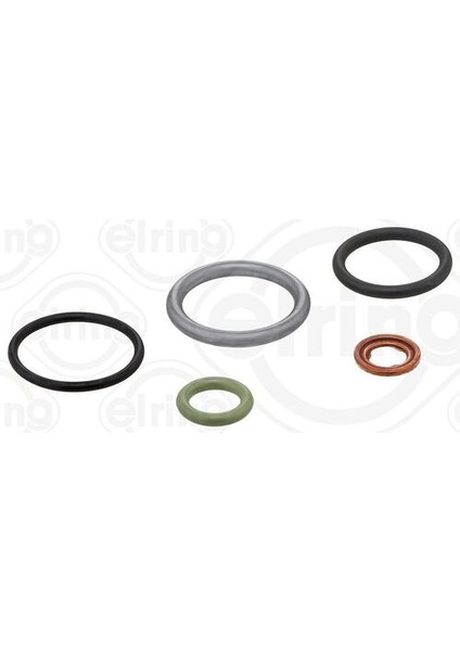 Elrıng 66460 Enjektör Oring ve Pul Takımı Axor