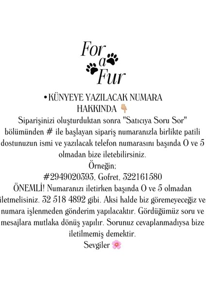 Luxury Köpek Tasma Künyesi Mama’s Girl 1 Adet