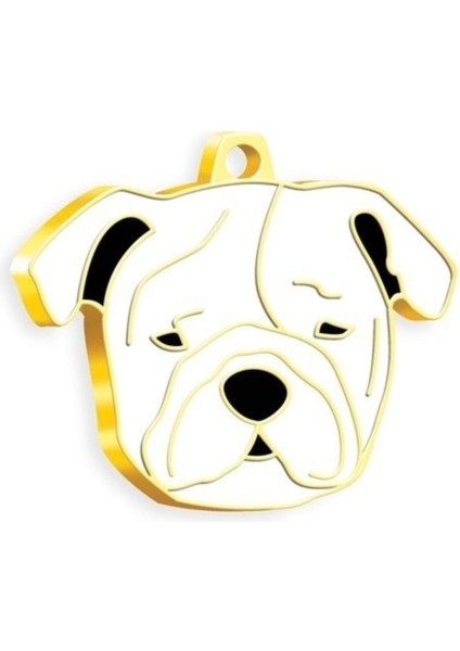 Luxury Köpek Künyesi 1 Adet