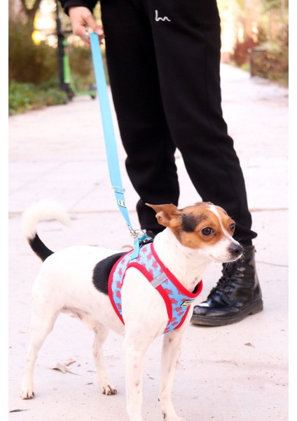 Luxury Köpek Göğüs Tasma Seti Ayarlanabilir Gezdirme Kayışı Eller Serbest Kalp Desenli 1 Adet