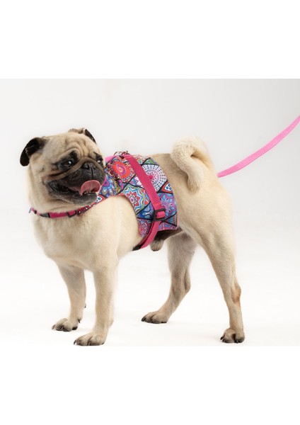 Luxury Kaçış Önleyici Köpek Göğüs Tasma Seti Küçük Irk ve Büyük Irk Köpek Gezdirme Tasması 1 Adet
