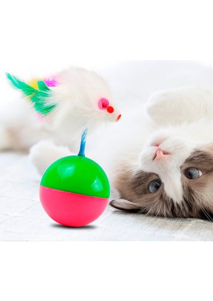 Luxury Kedi Oyuncağı Pelüş Oyuncak Hareketli Hacıyatmaz Kedi Oyuncağı 1 Adet