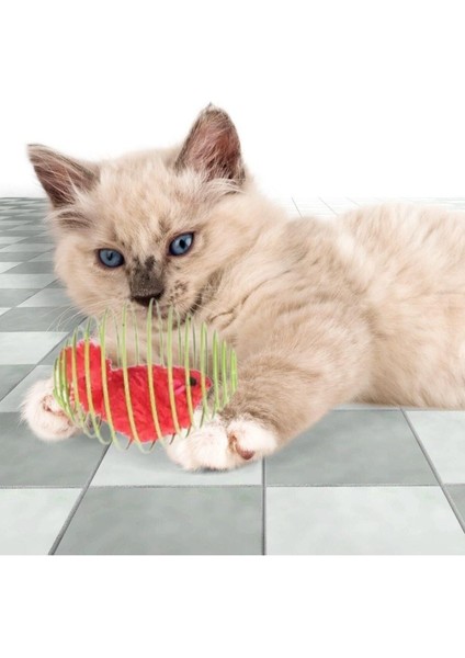 Luxury Yaylı Metal Fareli Kafes Kedi Oyun Topu Sıçrayan Spiral Kedi Topu (5064) 1 Adet