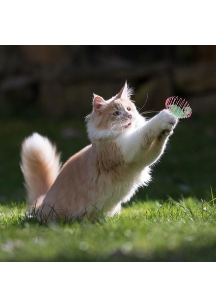 Luxury Yaylı Metal Fareli Kafes Kedi Oyun Topu Sıçrayan Spiral Kedi Topu (5064) 1 Adet