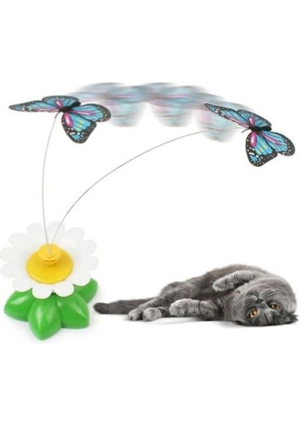 Luxury ® Hareketli Dönen Kelebek - Kedi Oyuncağı ( Pille Çalışır) 1 Adet