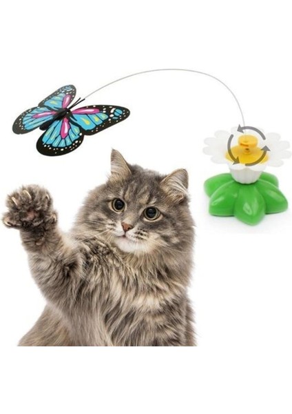 Luxury ® Hareketli Dönen Kelebek - Kedi Oyuncağı ( Pille Çalışır) 1 Adet