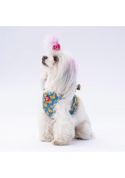 Luxury Ducks Air-Mesh Göğüs Tasması Kedi Köpek Göğüs Tasması 1 Adet