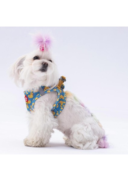 Luxury Ducks Air-Mesh Göğüs Tasması Kedi Köpek Göğüs Tasması 1 Adet