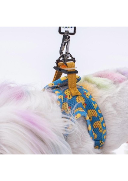 Luxury Ducks Air-Mesh Göğüs Tasması Kedi Köpek Göğüs Tasması 1 Adet