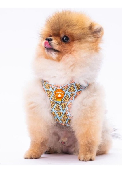 Luxury Pizza Air-Mesh Göğüs Tasması Kedi Köpek Göğüs Tasması 1 Adet