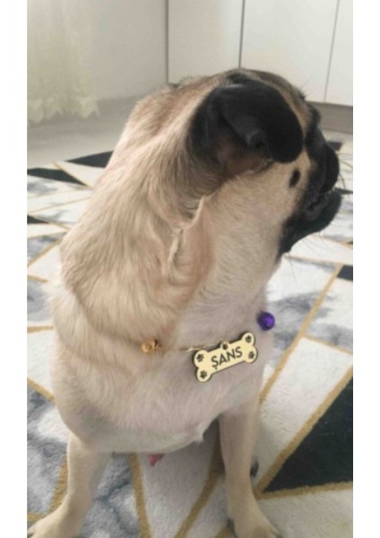 Luxury Gerçek Kazıma - Lazer Kesicm Kedi Künyesi + Dostlarınız Için 75CM Zincir+Çan 1 Adet