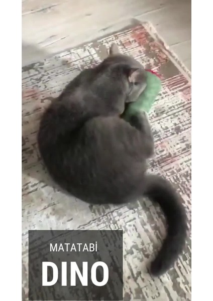 Luxury Matatabi - Dino (40X12CM) Bol Sesli, Bol Kokulu Kedi Oyuncağı 1 Adet fiyatları