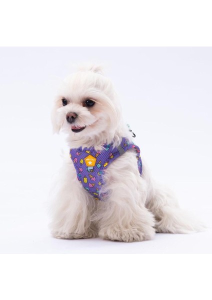 Ice Cream Air-Mesh Göğüs Tasması Kedi Köpek Göğüs Tasması