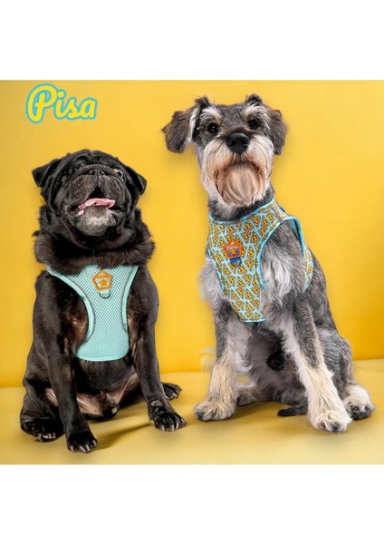 Pisa 2li Air-Mesh Köpek Göğüs Tasması Kedi Göğüs Tasması Köpek Tasması