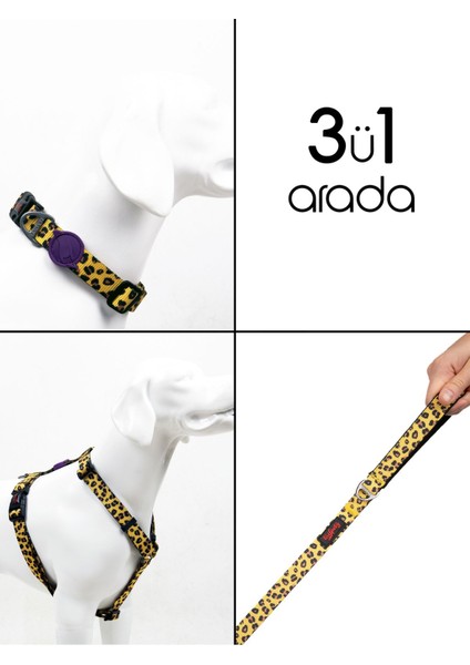 Leopard H-Tipi Göğüs Boyun Tasması ve Sevk Kayışı Seti 3ü1 Arada