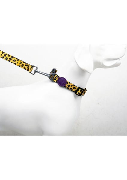 Leopard H-Tipi Göğüs Boyun Tasması ve Sevk Kayışı Seti 3ü1 Arada